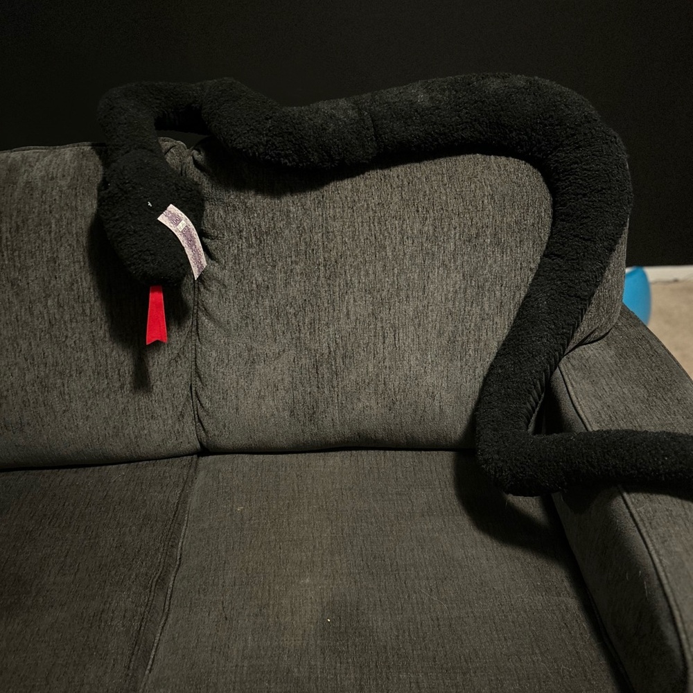Rachel Zoe viral pillow snake Halloween